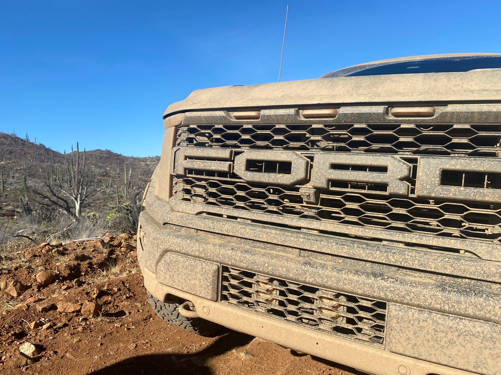 20250316 161810229 ios